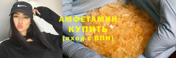 индика Богородицк