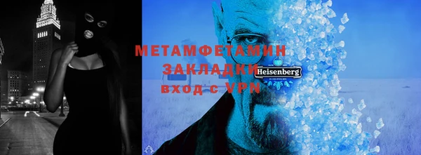 индика Богородицк