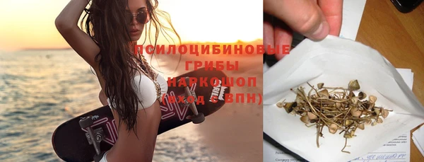 эйфоретик Богданович