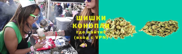 mix Богородск