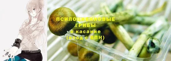 индика Богородицк