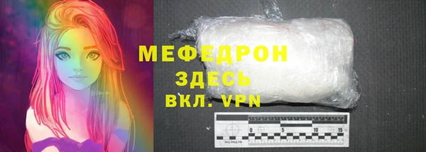 индика Богородицк