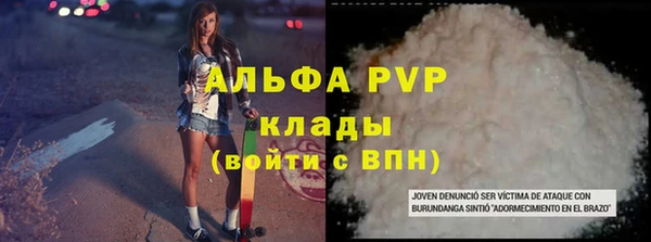 индика Богородицк