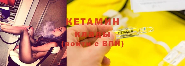 индика Богородицк