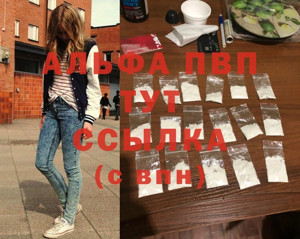 эйфоретик Богданович