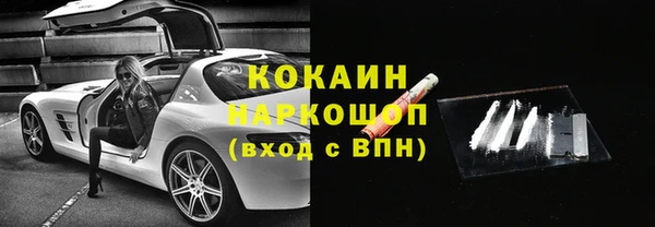 индика Богородицк