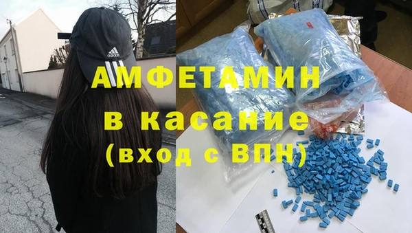 индика Богородицк