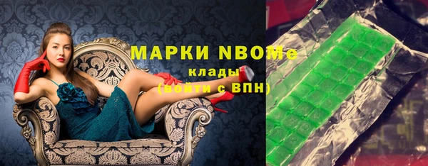 индика Богородицк