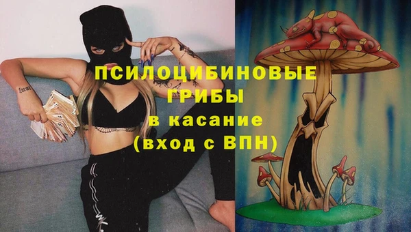 mix Богородск