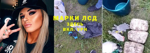 эйфоретик Богданович
