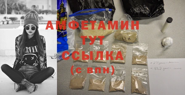 индика Богородицк