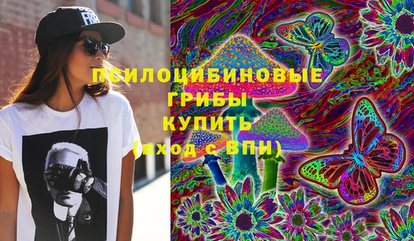 эйфоретик Богданович
