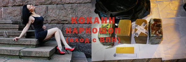 индика Богородицк