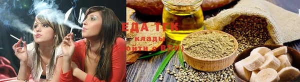 индика Богородицк