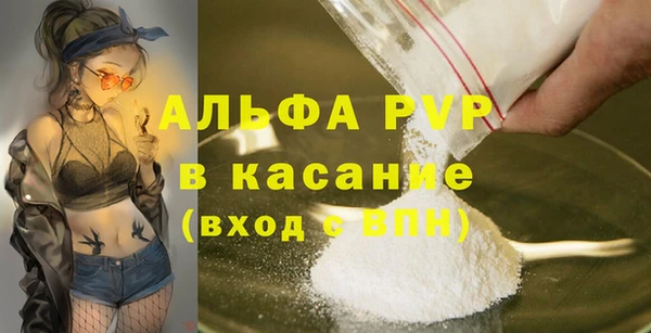 эйфоретик Богданович