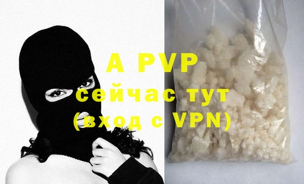 индика Богородицк