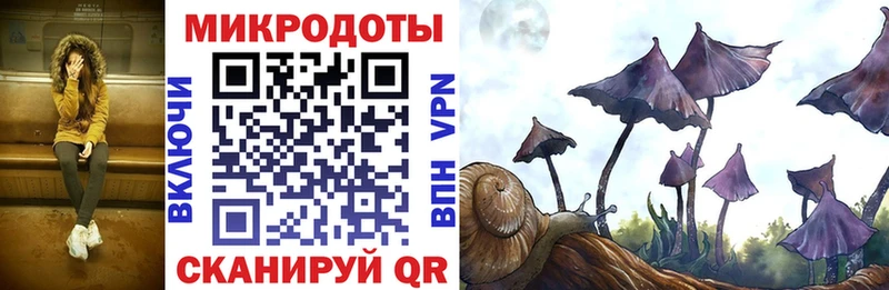 Купить где  Красновишерск  Псилоцибиновые грибы Magic Shrooms 